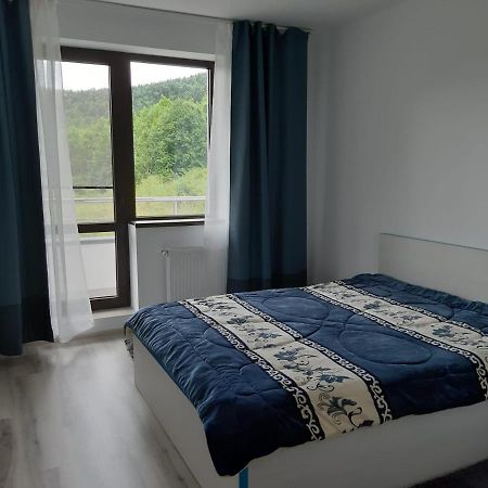 Dorin Colina Marei Apartman Sinaia Kültér fotó