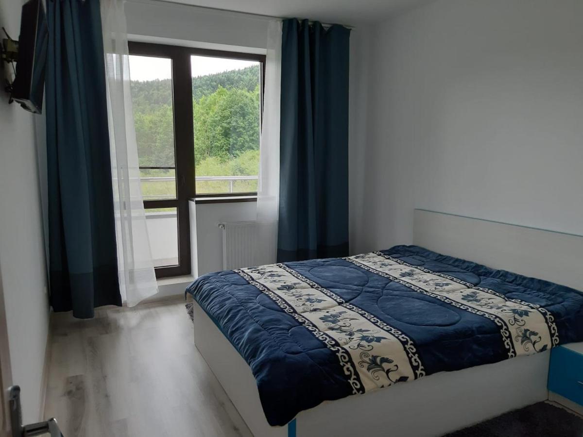 Dorin Colina Marei Apartman Sinaia Kültér fotó