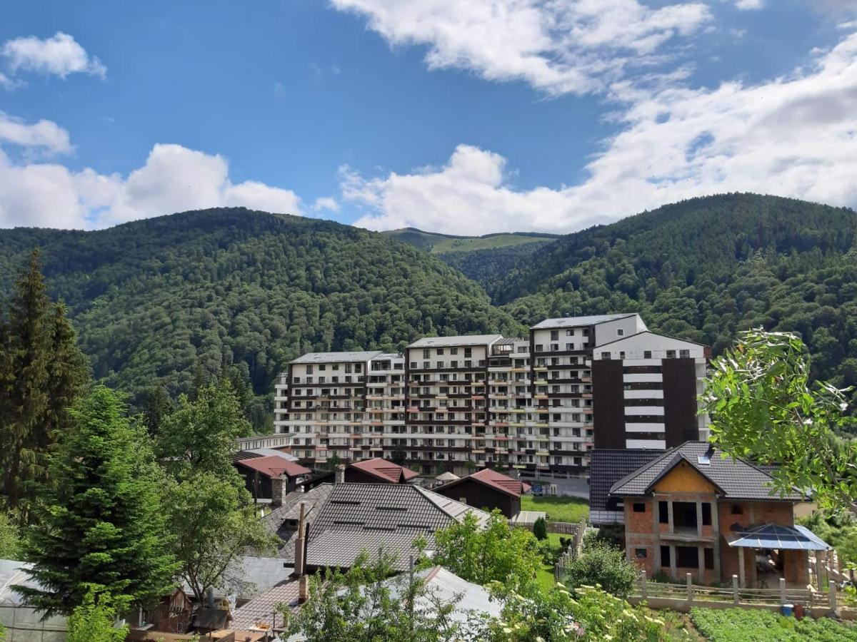 Dorin Colina Marei Apartman Sinaia Kültér fotó